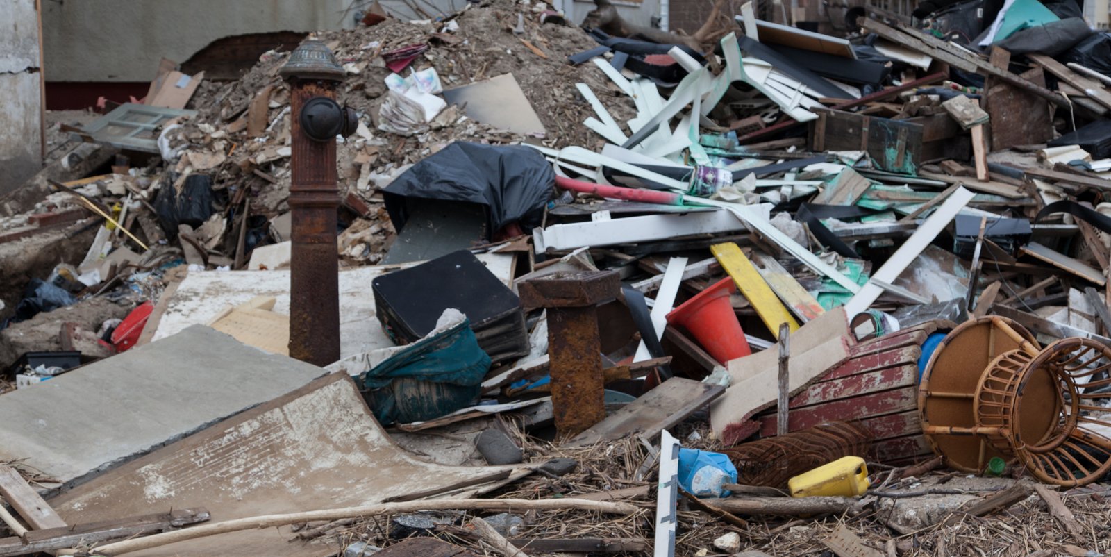 art-of-sandy-mo-seagate 2-16.jpg